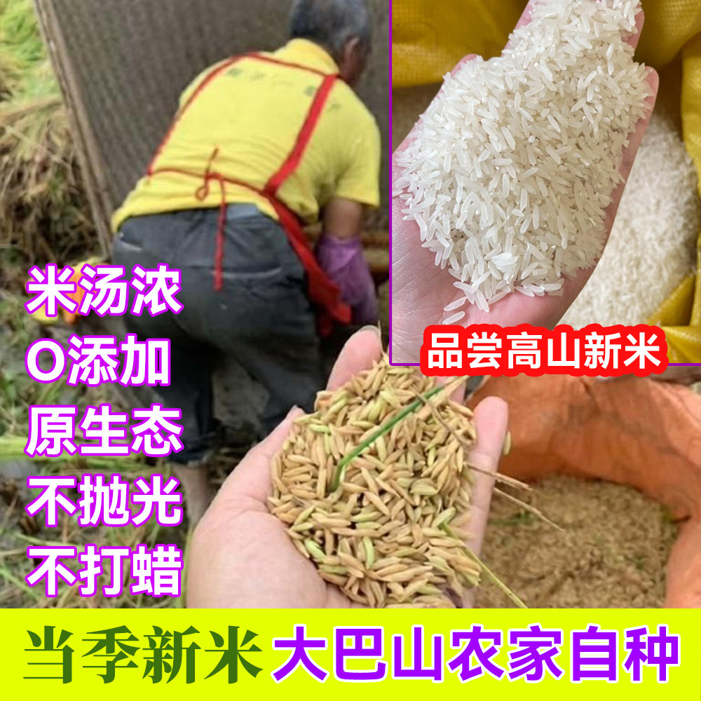 四川达州高山大米农家自种不打抛