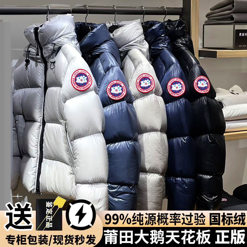 大鹅泡芙羽绒服男冬季2025新款保暖加厚情侣款黑色亮面面包服外套