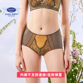 透气丝滑亲肤提臀中腰三角裤 奥丝蓝黛性感女士内裤 蕾丝薄款 头J16K