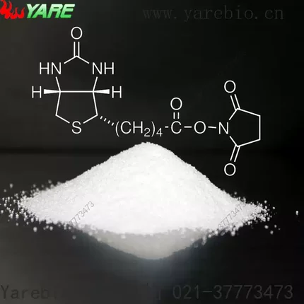 Sulfo-NHS Biotin-NHS 蛋白质交联剂 PEG活化修饰剂官能团衍生物