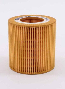 1012012-E00-0000适配锡柴劲威CA4DB1解放虎V国五机油滤芯清器格