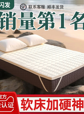 软床垫加硬神器床垫硬垫子棕垫天然椰棕护脊硬质粽榈超薄180x200