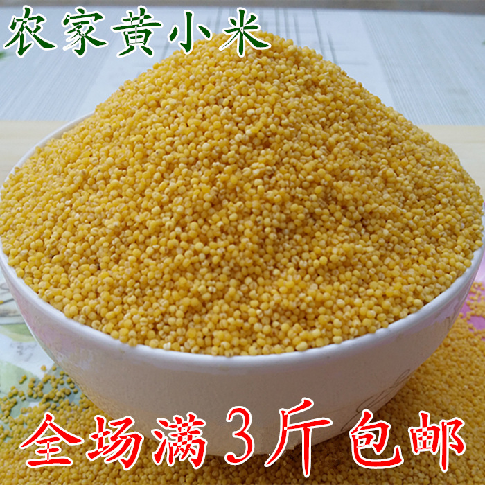 农家杂粮小米500克春小米黄小米粥 小黄米春谷子