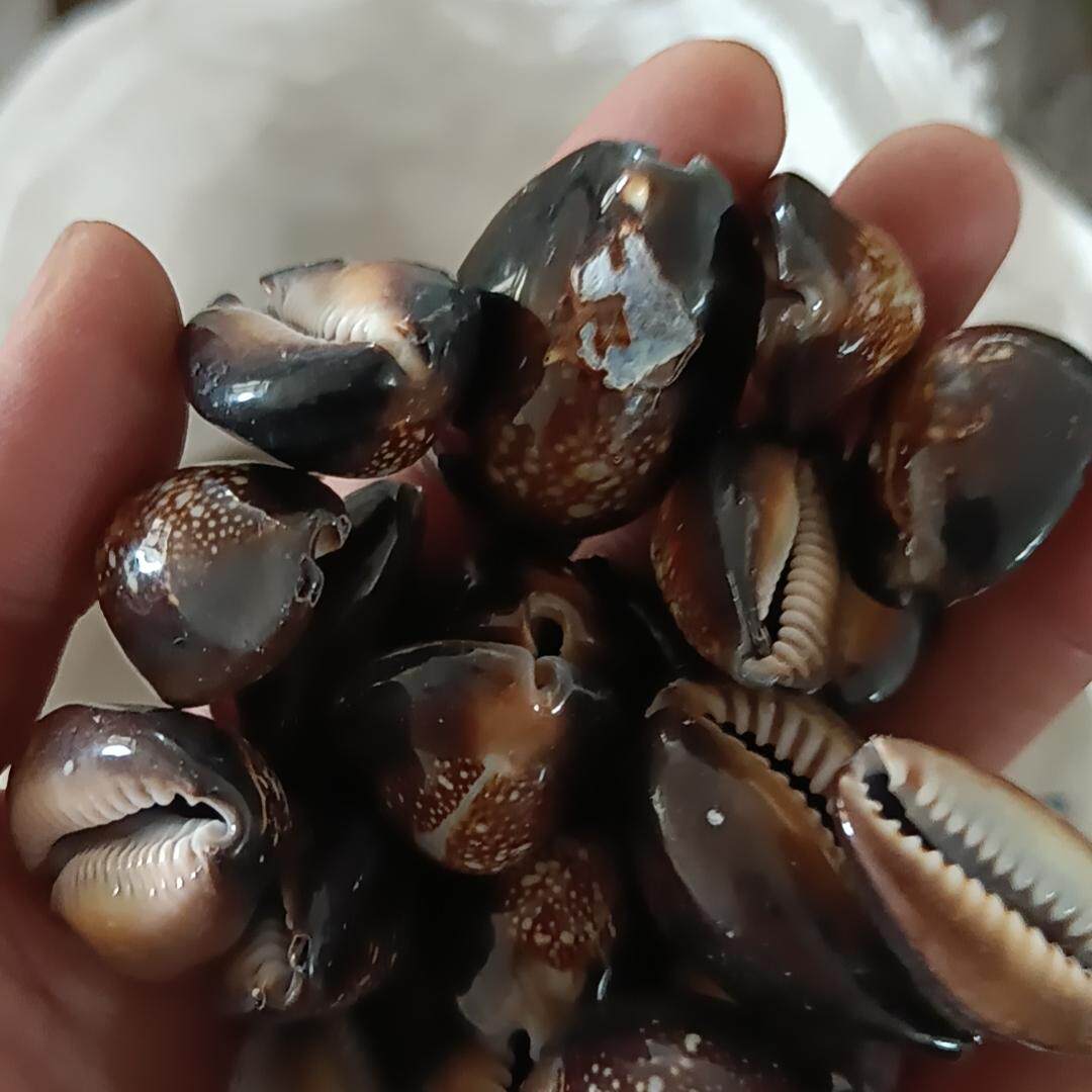鱼缸diy水族造景家居装饰手工