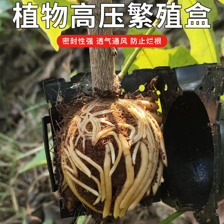 植物高压繁殖盒扦插嫁接生根盒园林树木高空压枝生根繁殖器繁殖球