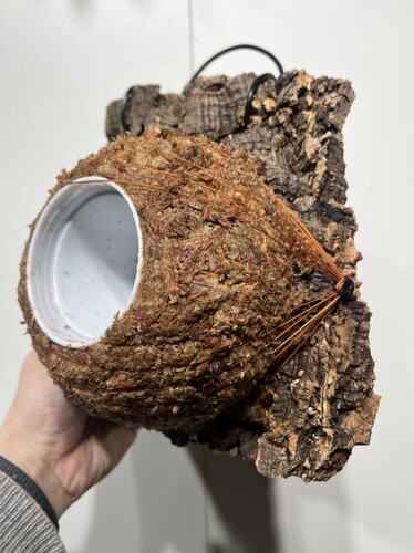 一物一拍软木板水苔球 板18*19厚度4cm 水苔球14cm送绑绳B534
