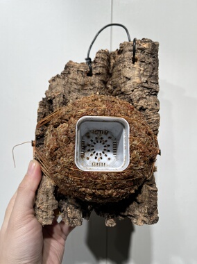 一物一拍软木板水苔球板15*22厚度5.5cm 水苔球12.5cm送绑绳B437