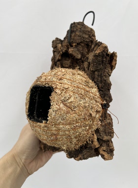 一物一拍软木板水苔球 板15*22厚度4cm 水苔球12.5cm送绑绳B678
