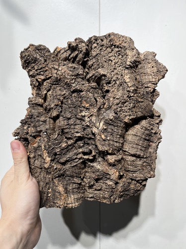 一物一拍 软木板尺寸14*25厚度4cm 送绑绳/螺丝/铝线挂钩 C24