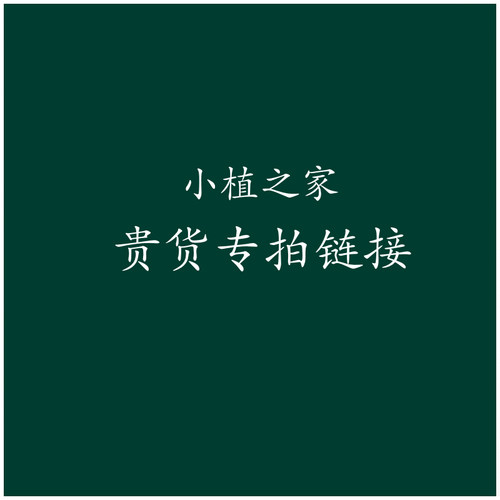 小植之家 贵货专拍链接 - 封面