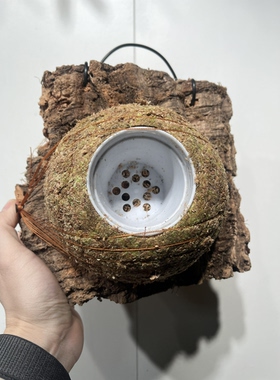 一物一拍软木板水苔球 板22*19厚度7cm 水苔球14cm送绑绳B541