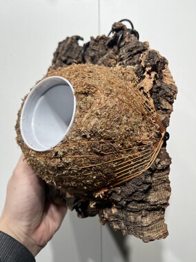 一物一拍软木板水苔球 板17*22厚度4cm 水苔球14cm送绑绳B522