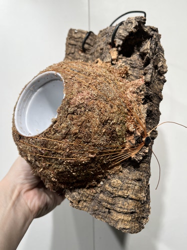 一物一拍软木板水苔球 板17*21.5厚度5cm 水苔球14.5cm送绑绳B461