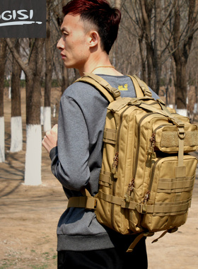 ROGISI陆杰士军迷野营3P战术背包双肩男女徒步休闲R-S-211