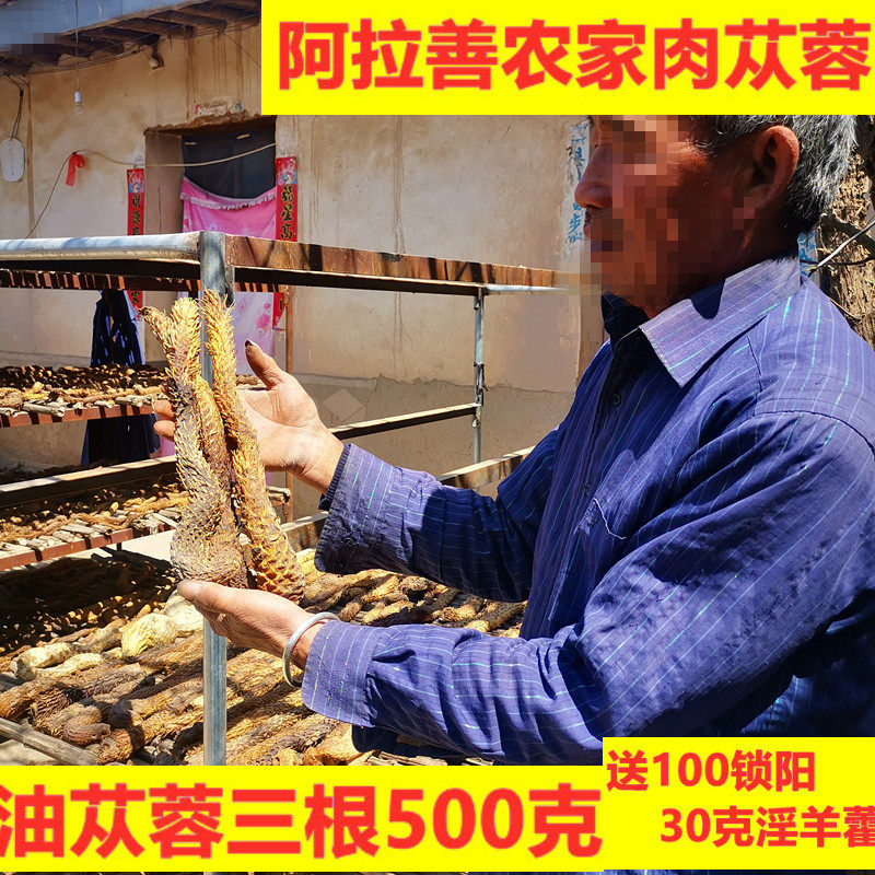 肉苁蓉内蒙阿拉善油苁蓉整根500g男性滋补泡酒料切片送锁阳淫羊藿