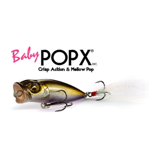 日本进口Megabass经典水面系BABY POPX 撞水波爬波趴路亚硬饵5.2g