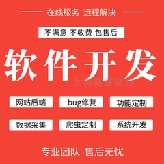 javascript编程设计web jsp vue springboot ssm项目程序代做代编