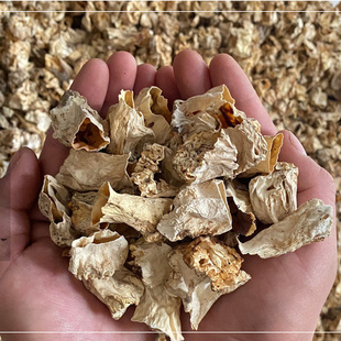 羊肚菌脚干货500g野生新鲜菌类特级煲汤食材羊肚菌柄菌脚香菇蘑23