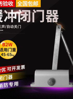 大地迪高防火门闭门器液压缓冲90度定位家用关门神器自动小号65kg