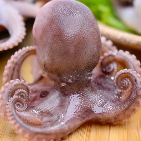 深海鲜冻迷你盒装八爪鱼