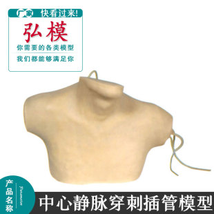 弘模中心静脉穿刺插管模型插管练习锁骨下颈内肘窝处静脉穿刺