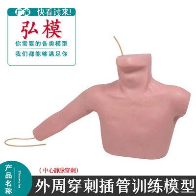 外周模拟人弘模中心静脉穿刺