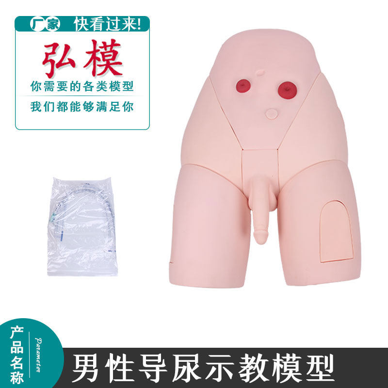 弘模男女性导尿模型护理模灌肠型导尿术灌肠导尿模具生殖器模具人