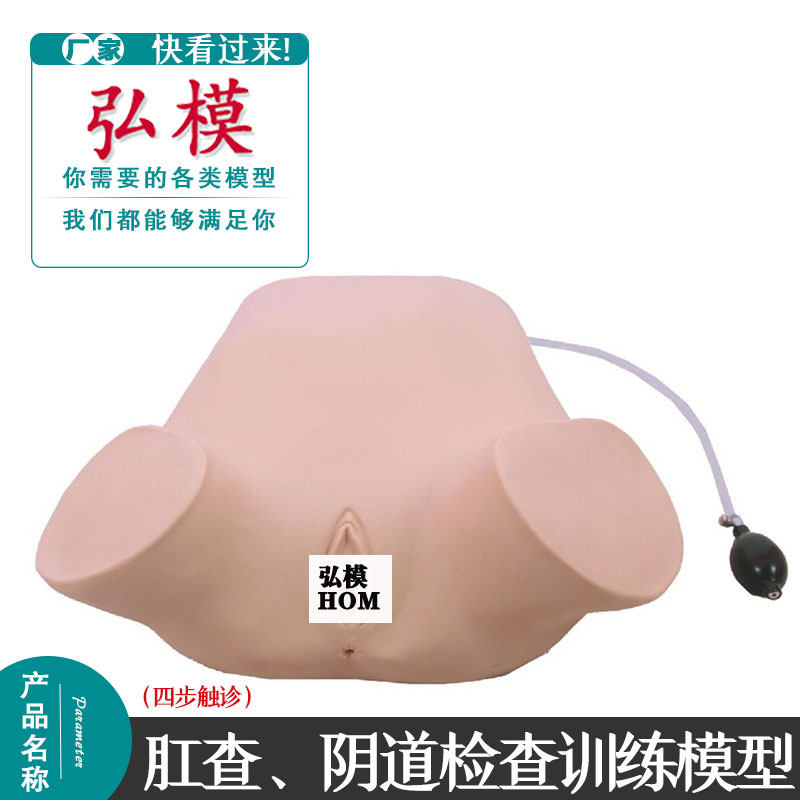 四部触诊肛查 阴道检查训练模型 训练考核确定胎位 妇科检查模型