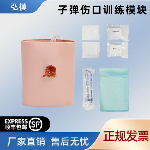 弘模医用子弹伤口教学模型