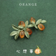 森系复古心想事橙植物胸针果实树叶唯美别针女文艺百搭气质胸花