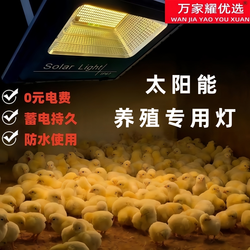 太阳能加温灯养殖场专用