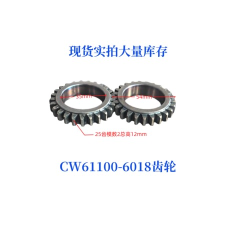 CW61100-6018车床齿轮配件