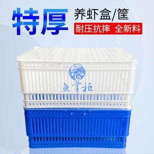 新款养虾盒活虾贝类花蛤蜊沥水塑料筐饭店市场酒店养殖透水篮筐子