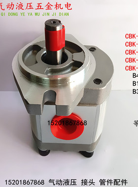 CBK-1004/1006/1008/1010/1012-B4FR B1TR A4FR液压高压齿轮油泵