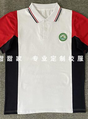 兴业县大平镇中心小学校校服夏季短袖POLO衫班服男女服T恤秘鲁棉