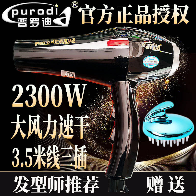 普罗迪电吹风机大功率强力风筒负离子护发静音专业发廊理发店专用