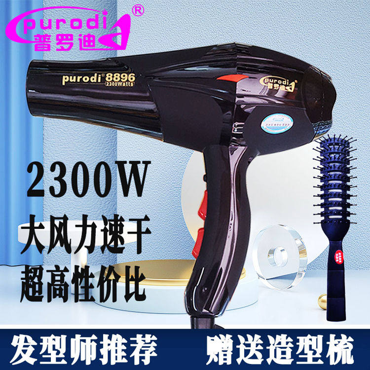 普罗迪电吹风机大功率强力风筒蓝光负离子护发静音速干理发店专用