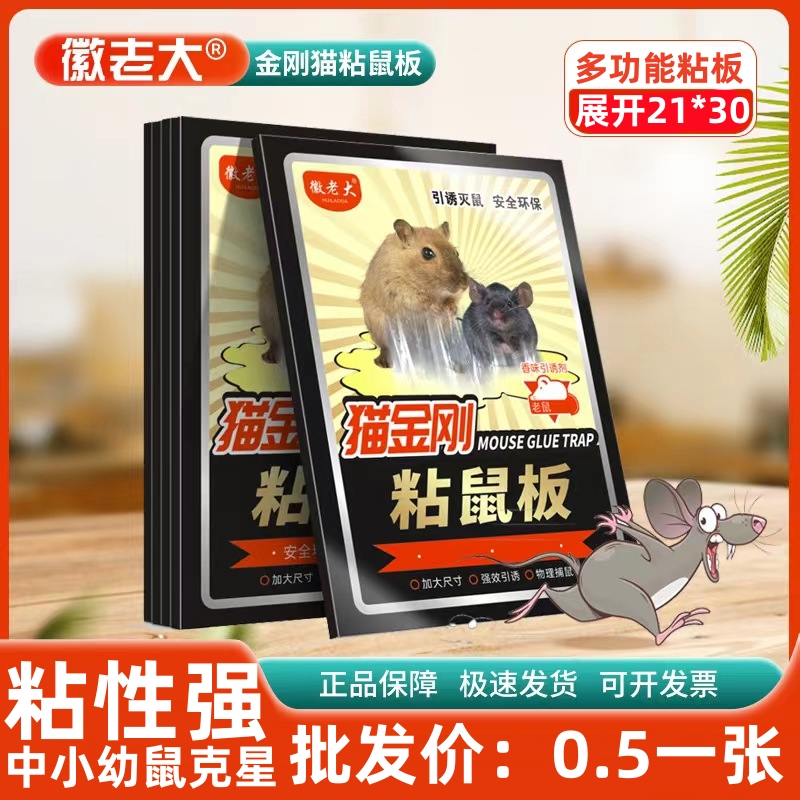佰害灭粘鼠板金刚猫老鼠贴