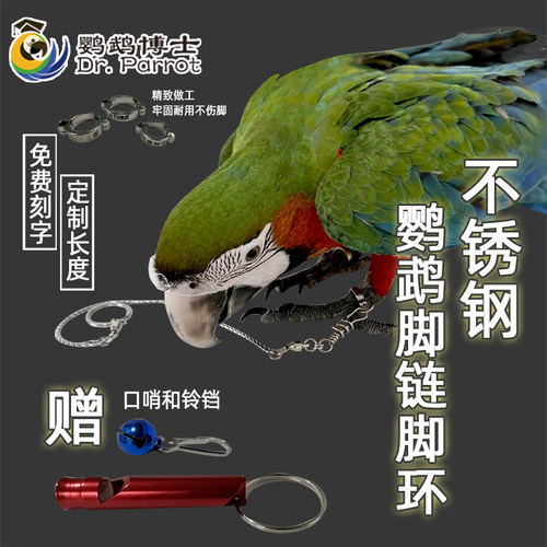 鹦鹉脚环虎皮八哥牡丹玄凤鸟脚链