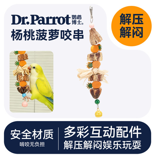 鹦鹉啃咬玩具杨桃干解压解闷磨牙