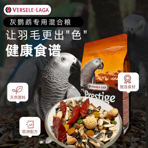 凡赛尔大型鹦鹉饲料灰鹦鹉滋养丸