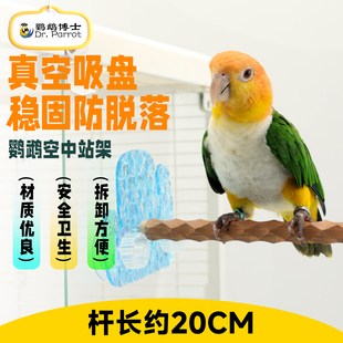 鹦鹉站架外出便携花椒木磨爪棒亚克力站架车载洗澡空中站架带吸盘