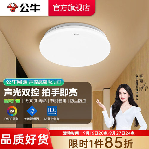 公牛LED阳台走廊声光控制吸顶灯