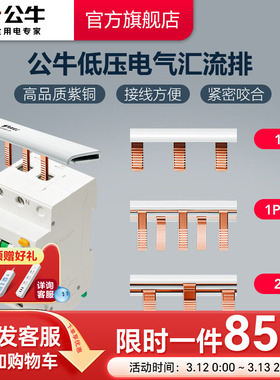 公牛空气开关断路器1P1P+N2P空开接线排接线端子汇流排
