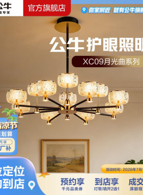 【门店专享】公牛智能语音12/8/6头吊灯现代温馨客厅餐厅灯XC09