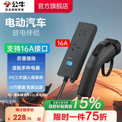 公牛户外新能源汽车放电枪