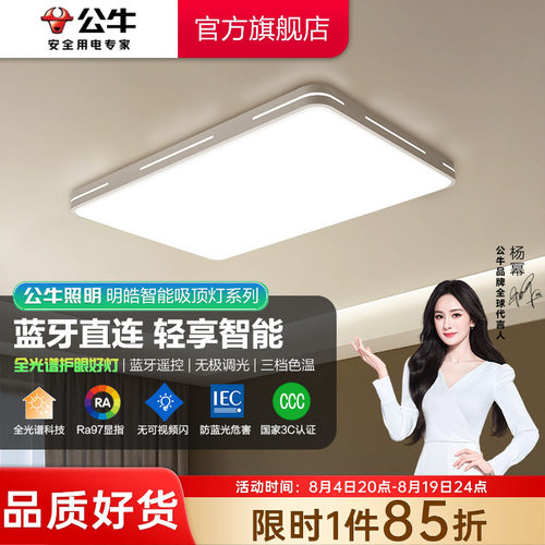 公牛客厅吸顶灯简约长方形灯具