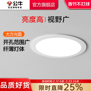 公牛筒灯嵌入式店铺商用110mm大开孔12公分大瓦数超薄超亮孔灯