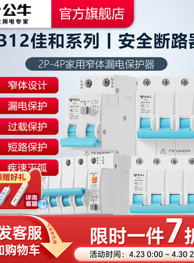 公牛插座旗舰断路器2P漏电保护空气LB12开关电闸16-63A升级款