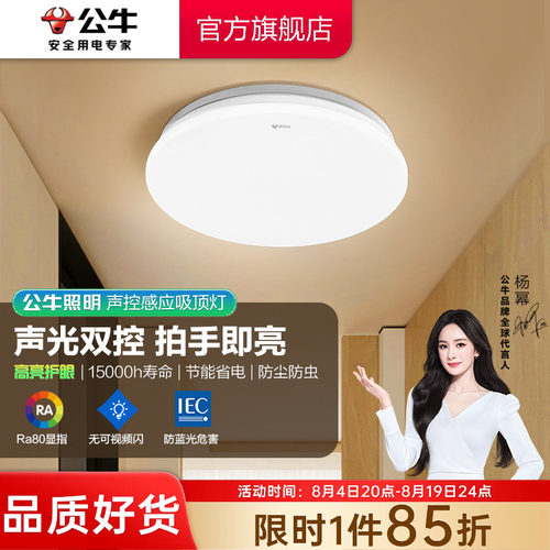 公牛LED阳台走廊声光控制吸顶灯